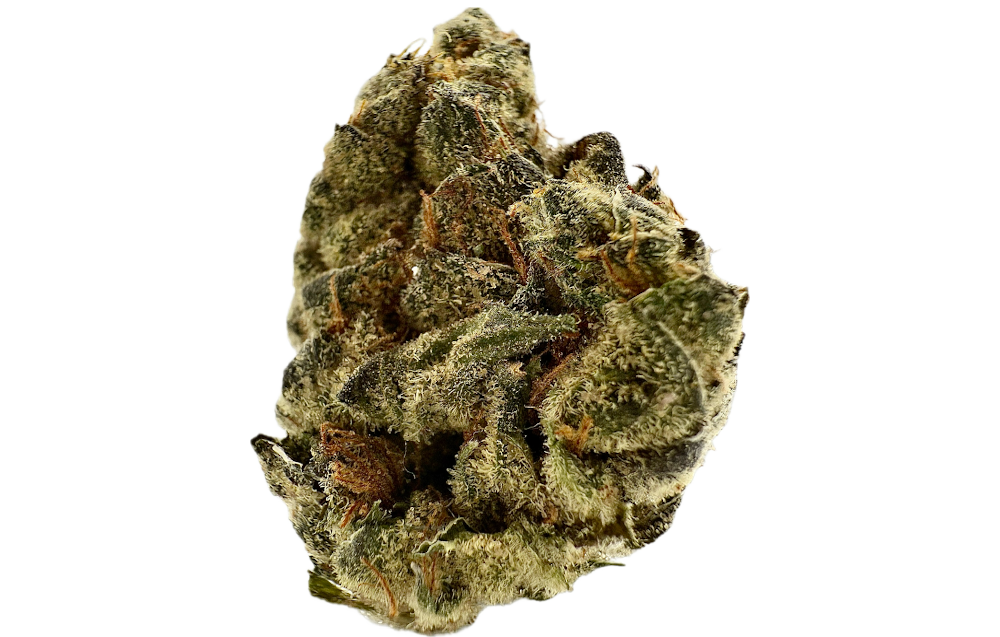 enua 27/1 GMO CA
